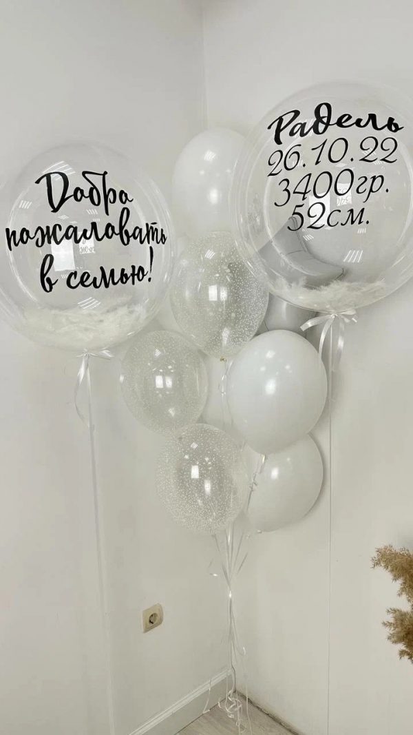 набор №1031