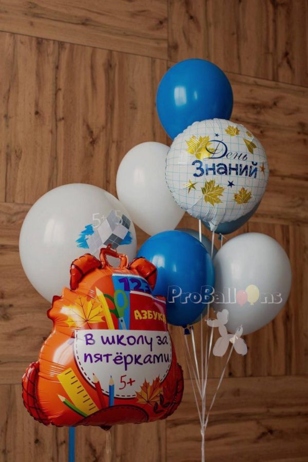 Набор шаров № 1516 на 1 сентрября