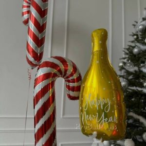 Набор шаров 1683