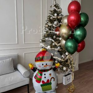 Набор шаров 1687