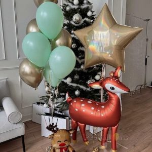 Набор шаров 1676