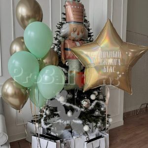 Набор шаров 1698