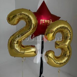 набор шариков к 23 февраля № 1737