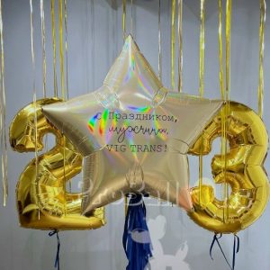 набор шариков к 23 февраля № 1739